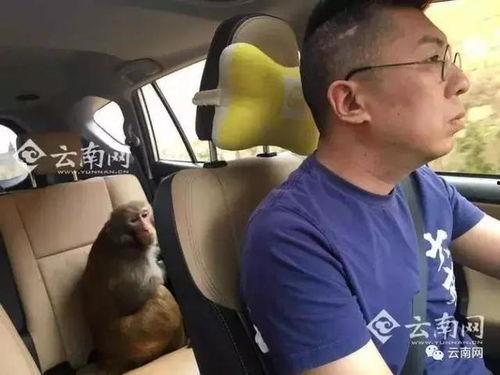 网友爆料瘦猴子视频,网友热议其减肥秘诀  第1张