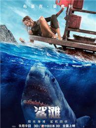 鲨滩完整版在线观看,惊心动魄的生存挑战，在线观看完整版  第1张